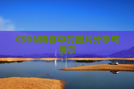 CSDN博客中的图片分享与展示